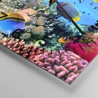 Quadrante con numeri