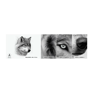 Campione di Fotomurale Premium Canvas - Alfa, senza dubbio - Lupo, Animale, scandinavo - 100x30 cm