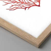 Rovere chiaro