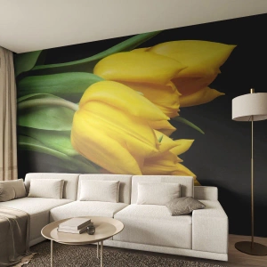 Fotomurali Autoadesivo Deluxe Sticker - Fatti di puro sole - Fiori, Tulipani, Mazzo di fiori - 100x70 cm