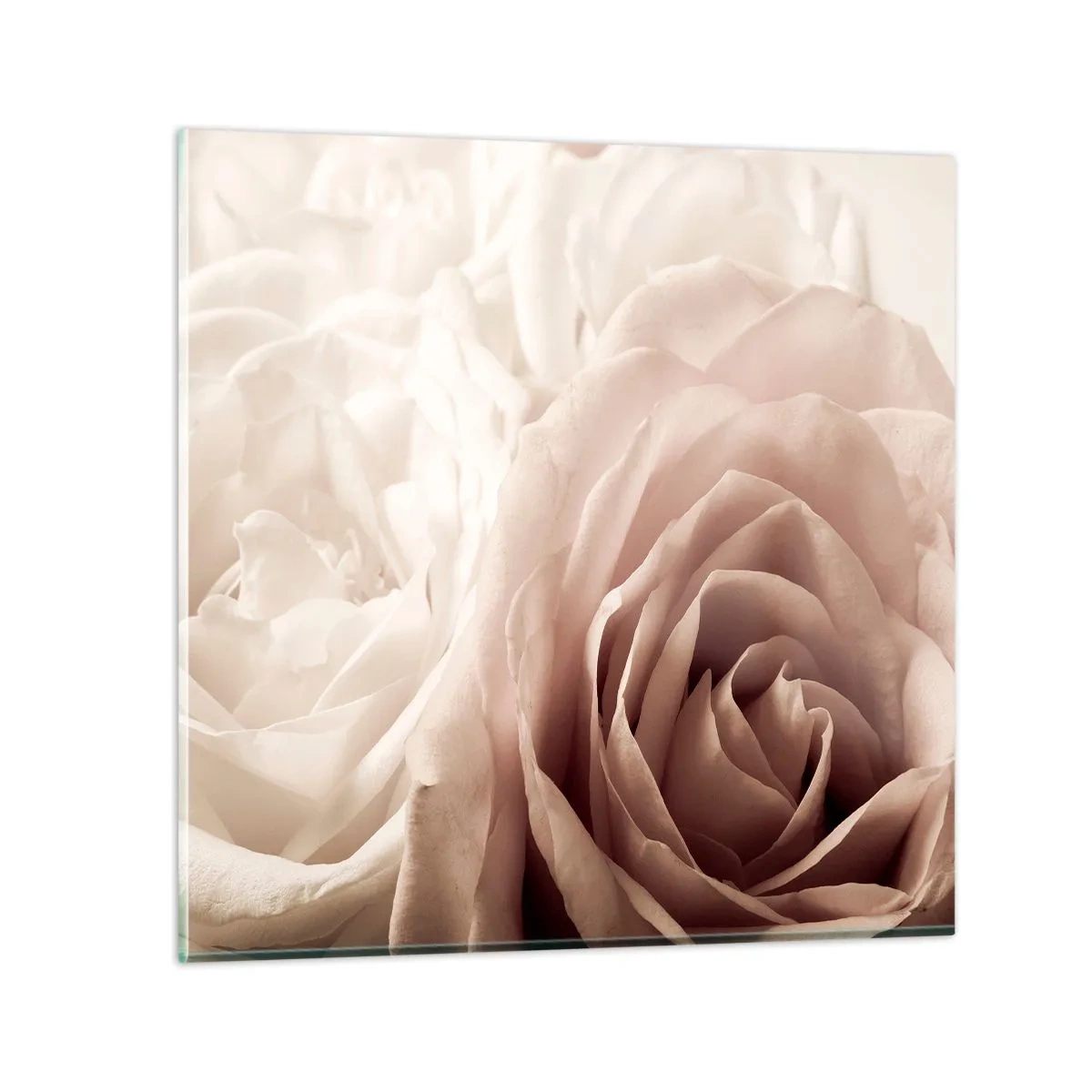 Quadro su vetro - Nel cuore della rosa - 30x30 cm