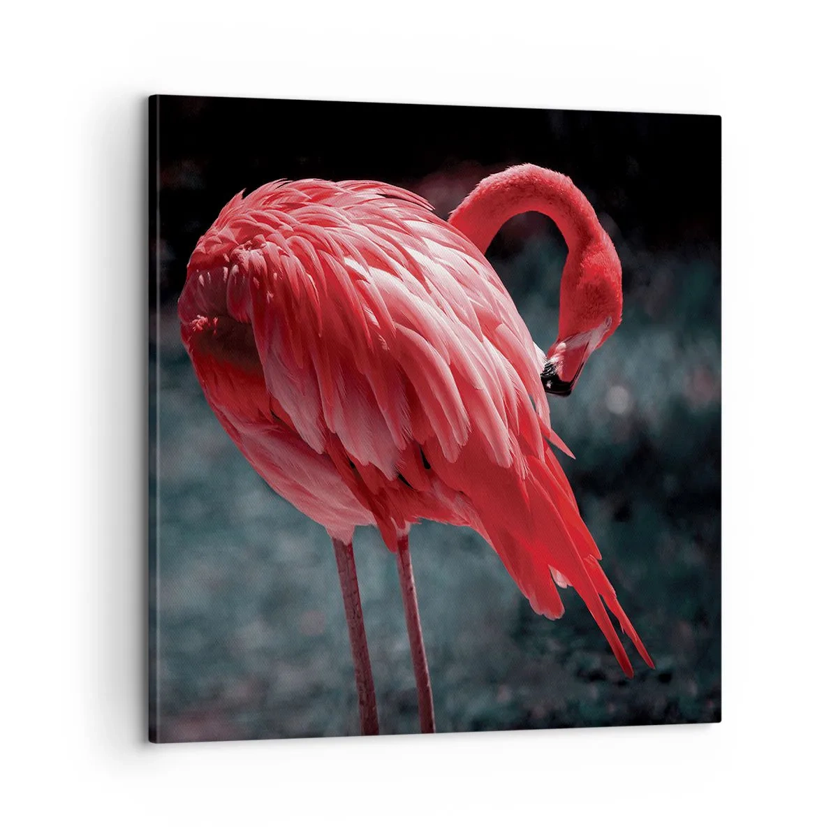 Quadro su tela - Stampe su Tela - La poesia cremisi della natura - 60x60 cm