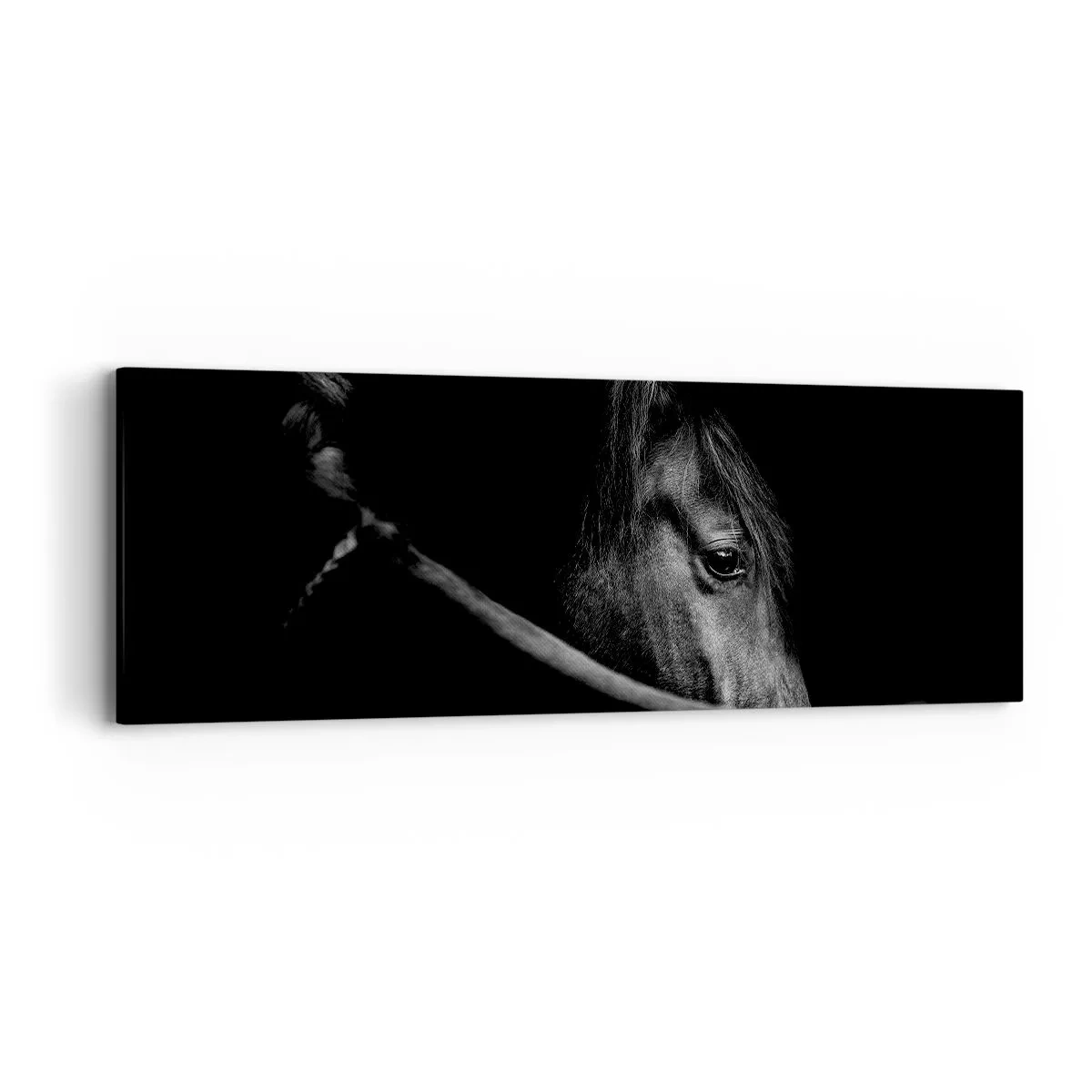 Quadro su tela - Stampe su Tela - Il principe nero - 90x30 cm