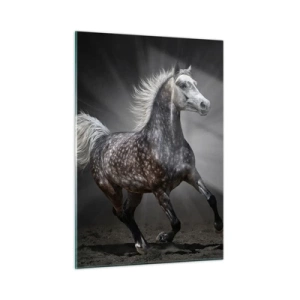 Quadro su vetro - Un cavallo al galoppo su uno sfondo scuro con effetto luminoso. - 50x70cm - Grigio è bello - Decorazione murale moderna per soggiorno e camera da letto ARTTOR