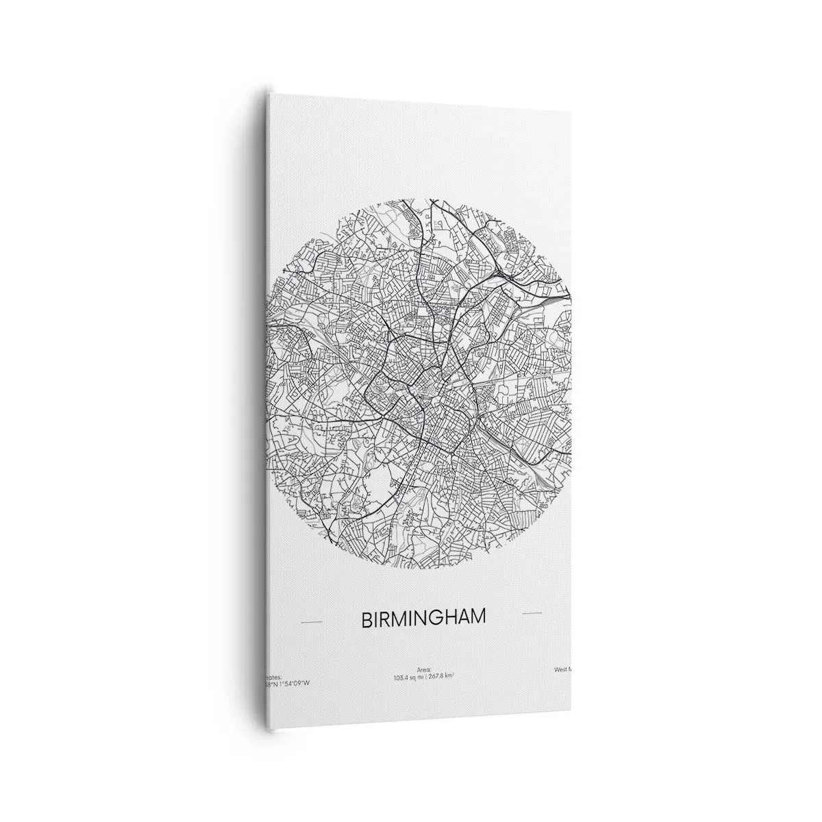 Quadro su tela - Stampe su Tela - Anatomia di Birmingham - 65x120 cm