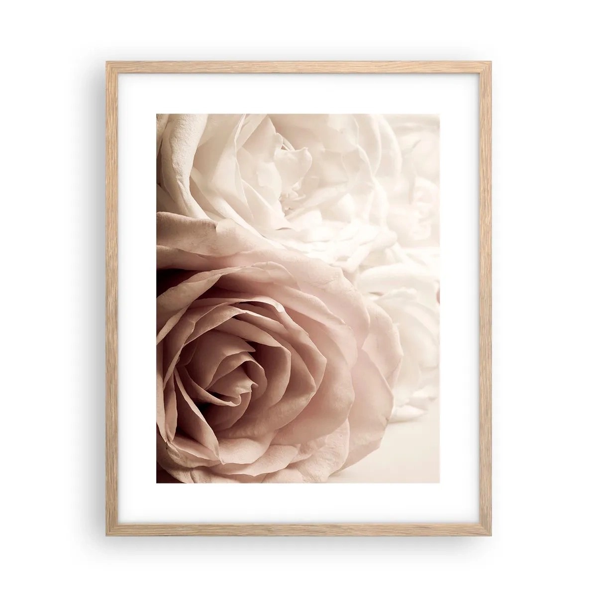 Poster in cornice rovere chiaro - Nel cuore della rosa - 40x50 cm