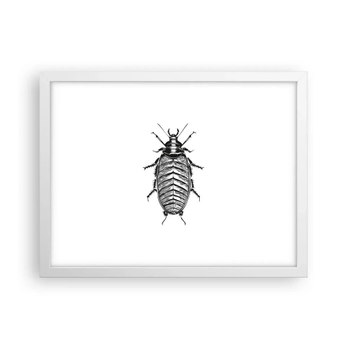 Poster in cornice bianca - Che esemplare! - 40x30 cm