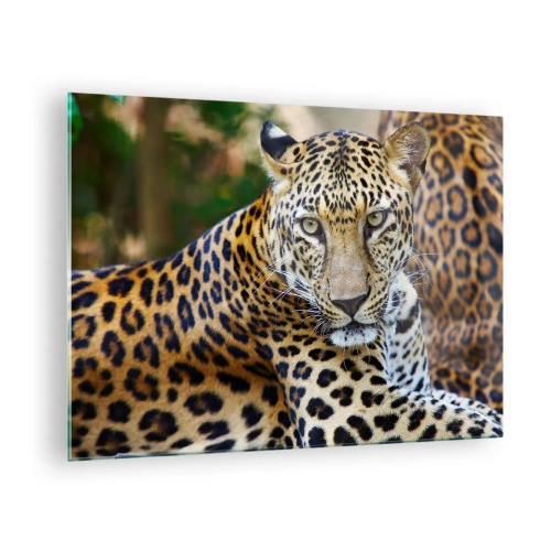 Quadro su vetro - Un leopardo selvatico che riposa tra il verde - 70x50cm - Selvaggio e tranquillo - Decorazione murale moderna per soggiorno e camera da letto ARTTOR