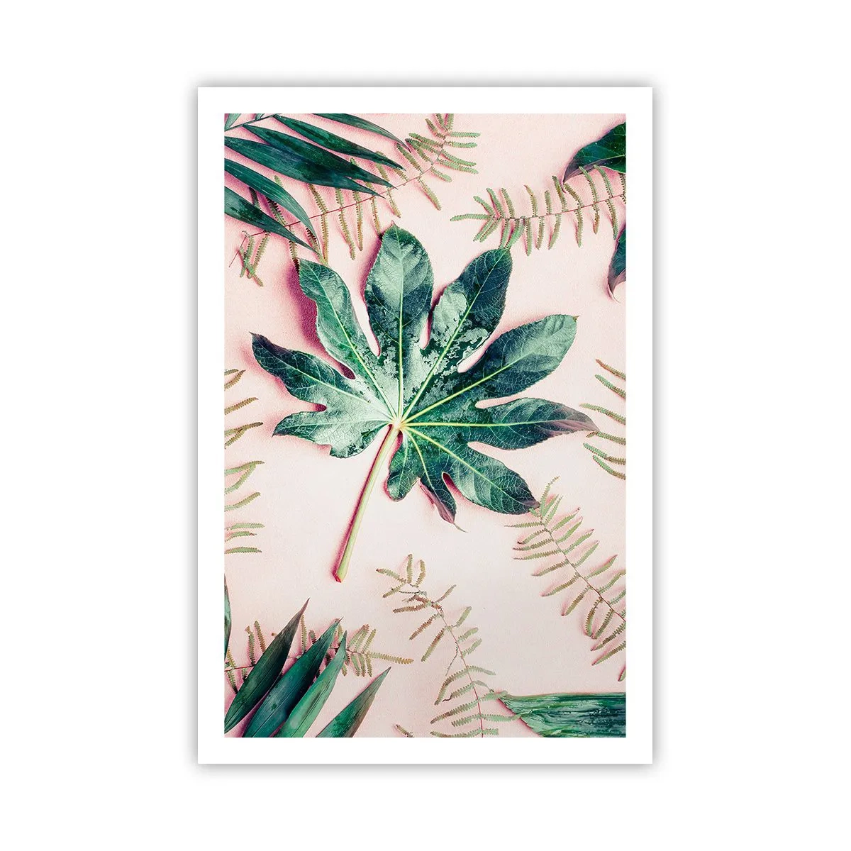 Poster - Studio di verde su sfondo rosa - 61x91 cm