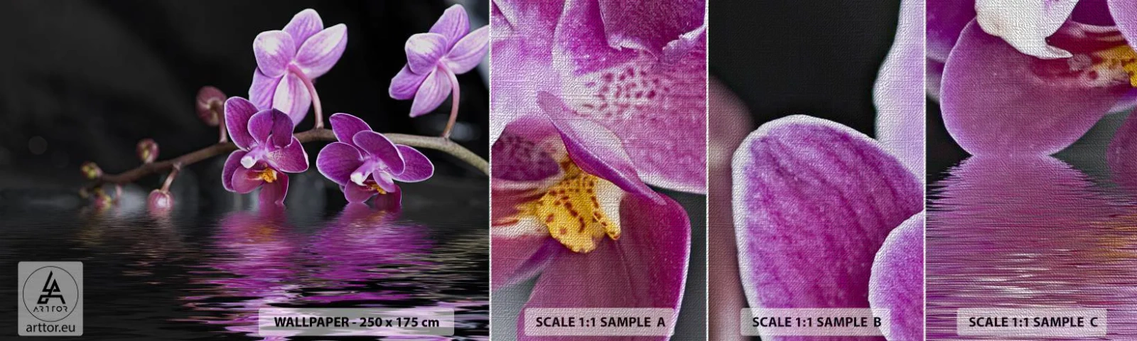 Campione di Fotomurale Premium Canvas - La bellezza riflessa dai gigli - Fiori, Orchidea, Natura - 100x30 cm