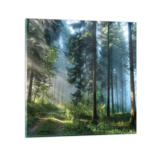 Quadro su vetro - Raggiante all'alba - 30x30 cm