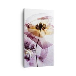 Quadro su tela - Stampe su Tela - Fiori trasparenti - 45x80 cm