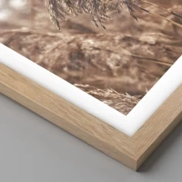 Rovere chiaro