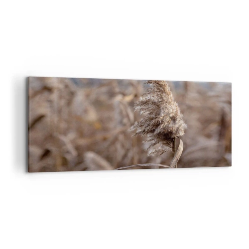 Quadro su tela - Stampe su Tela - Delicate erbe nelle tonalità del beige sullo sfondo della natura - 120x50cm - è tempo di volare col vento - Decorazione murale moderna per soggiorno e camera da letto ARTTOR