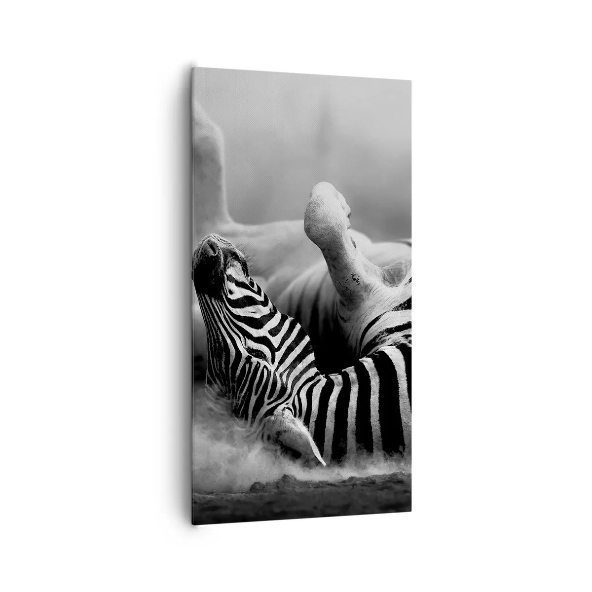 Quadro su tela - Stampe su Tela - Morire dal ridere - 65x120 cm