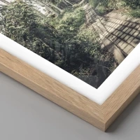 Rovere chiaro