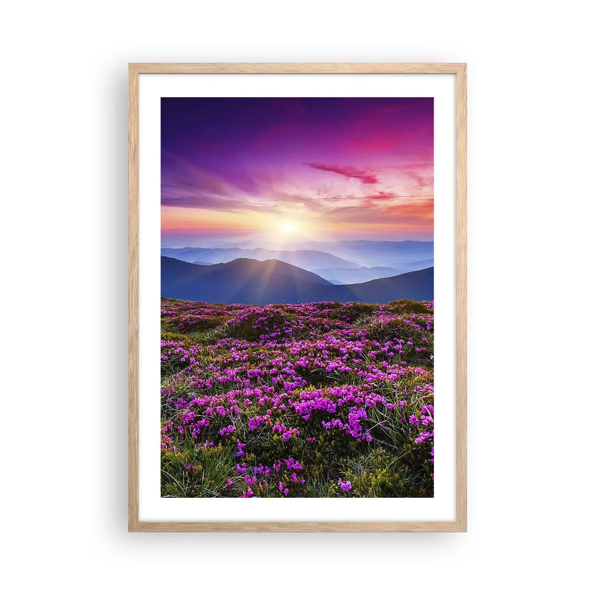 Poster in cornice rovere chiaro - Il profumo dei fiori freschi del campo - 50x70 cm