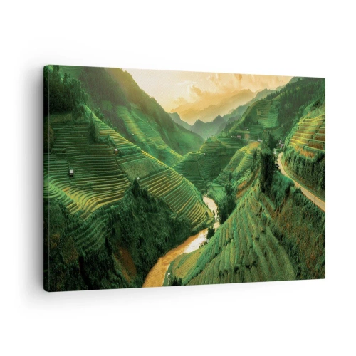 Quadro su tela - Stampe su Tela - Pittoresche terrazze di riso in una valle verde illuminata dal sole al tramonto - 70x50cm - Valle del Vietnam - Decorazione murale moderna per soggiorno e camera da letto ARTTOR
