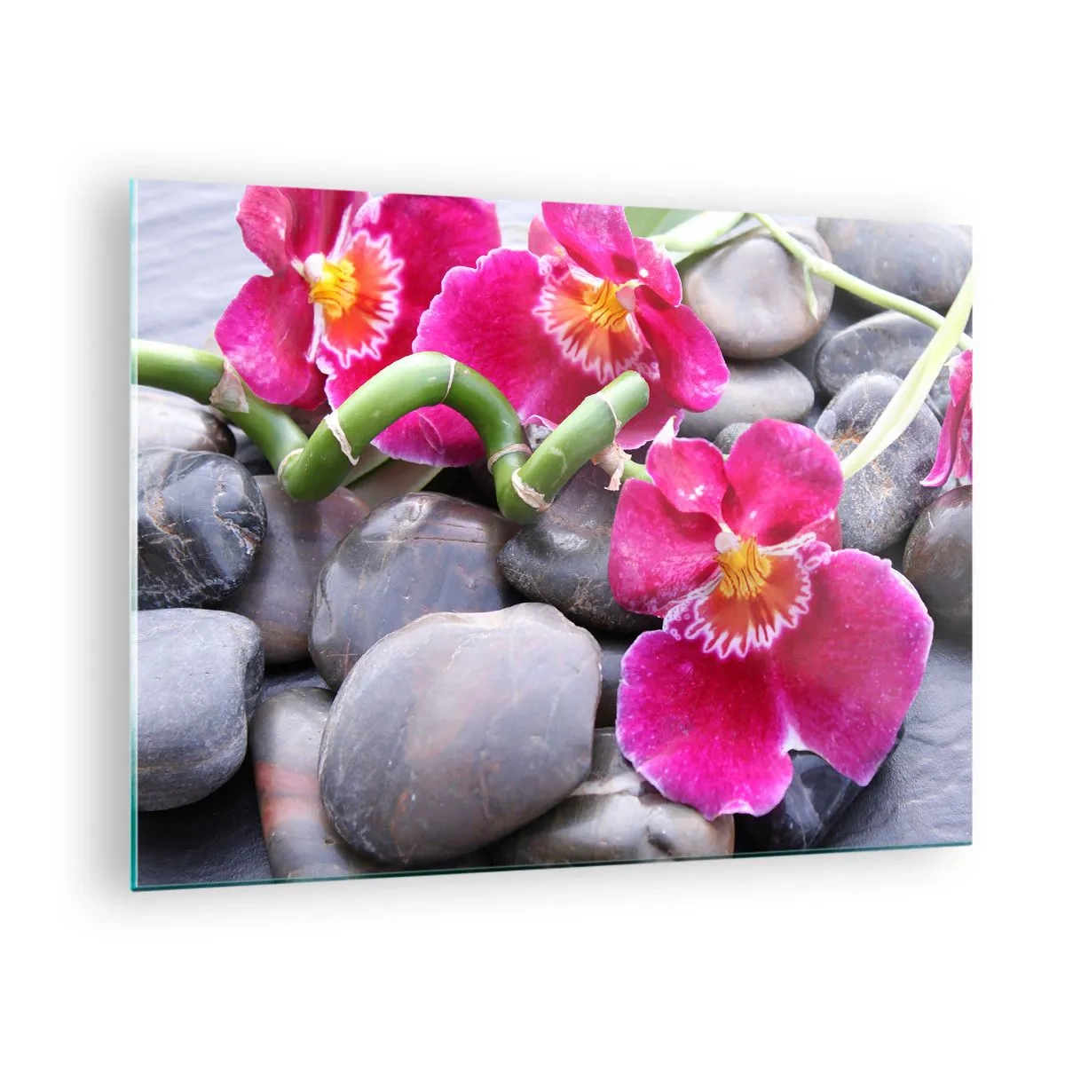 Quadro su vetro - Orchidee rosa con bambù su pietre - 70x50cm - Fresco e calore - Decorazione murale moderna per soggiorno e camera da letto ARTTOR