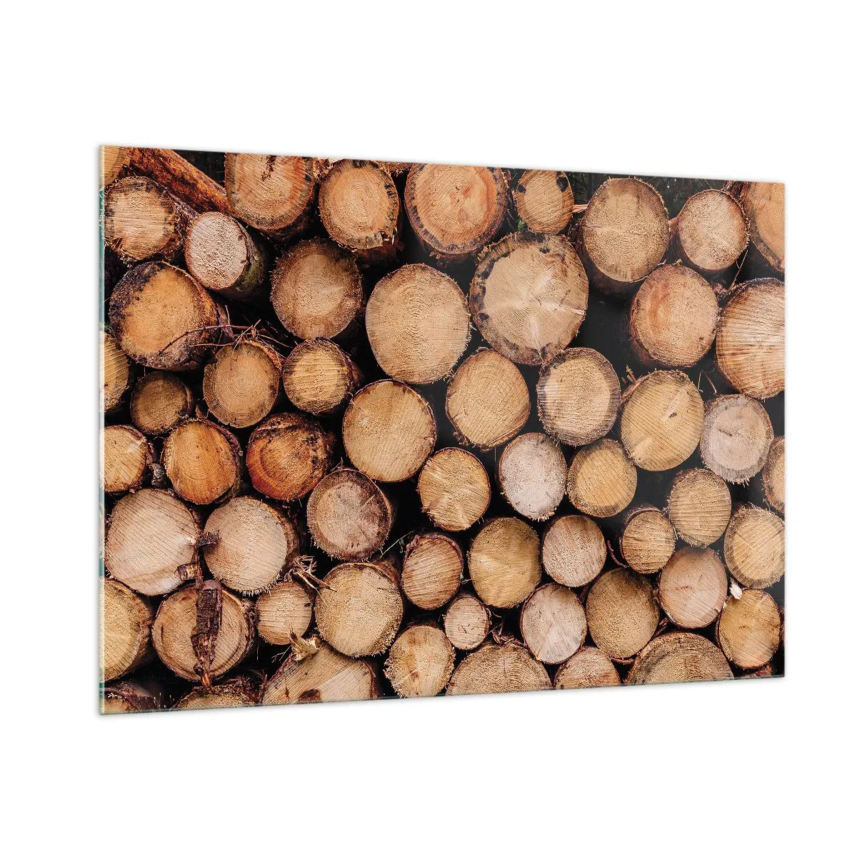 Quadro su vetro - Tronchi d'albero disposti verticalmente con anelli di crescita visibili - 100x70cm - Nuovo inizio - Decorazione murale moderna per soggiorno e camera da letto ARTTOR