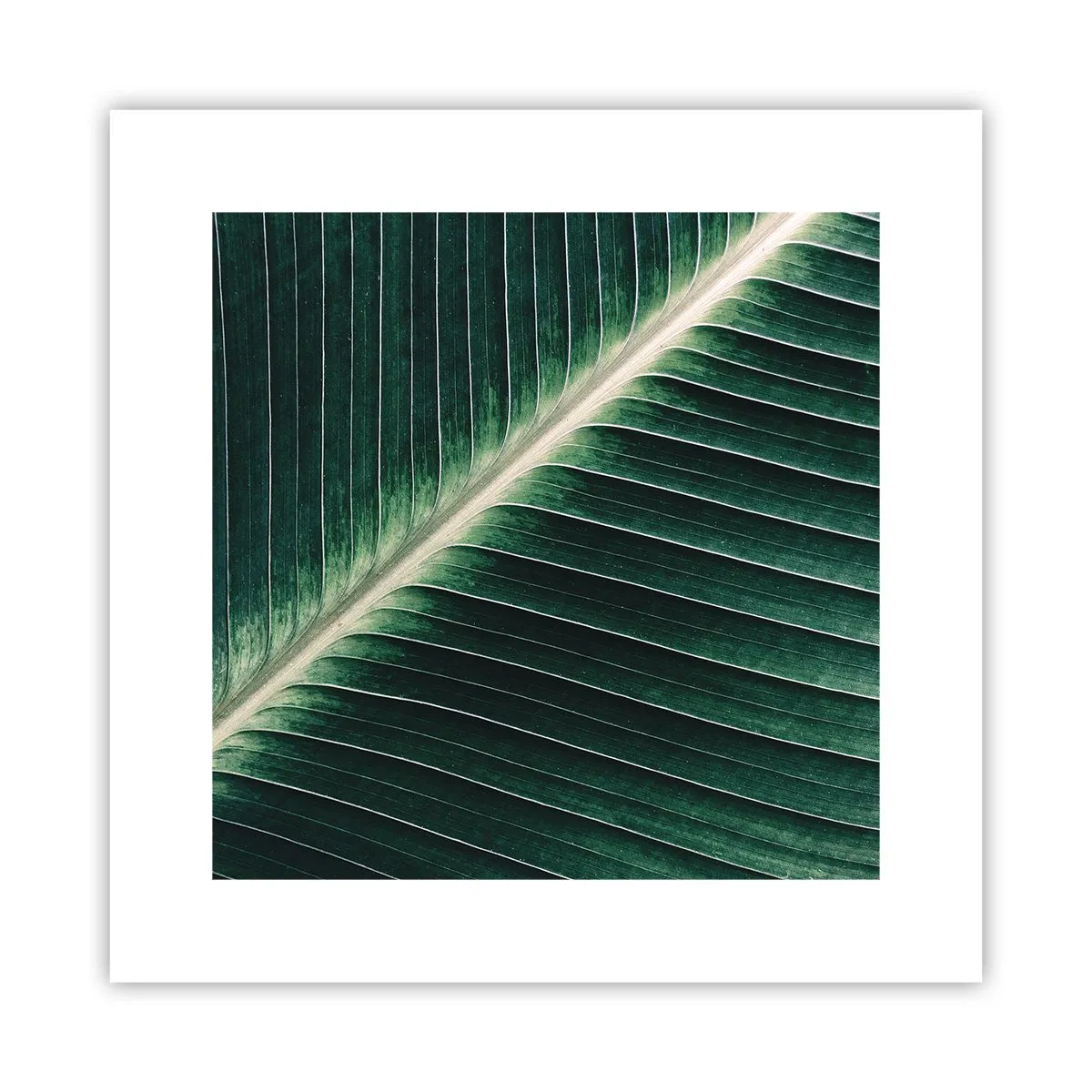 Poster - Il ritmo della natura - 30x30 cm