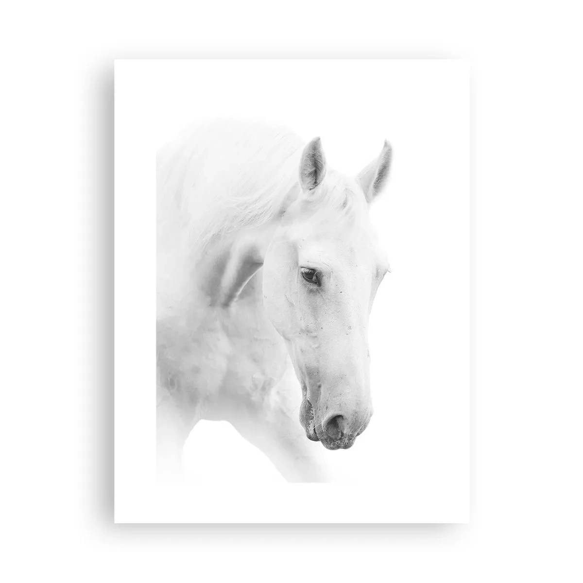 Poster - È amicizia? - 30x40 cm