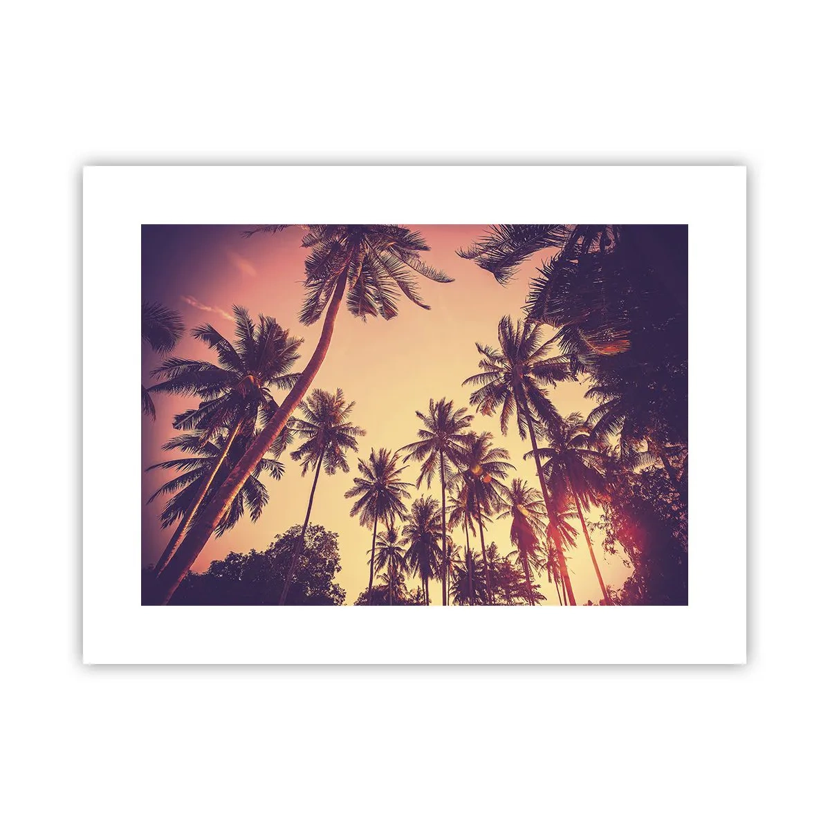 Poster - Composizione tropicale - 40x30 cm