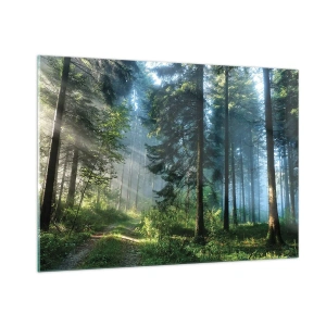 Quadro su vetro - Un sentiero nel bosco nella nebbia mattutina tra alberi alti - 100x70cm - Raggiante all'alba - Decorazione murale moderna per soggiorno e camera da letto ARTTOR