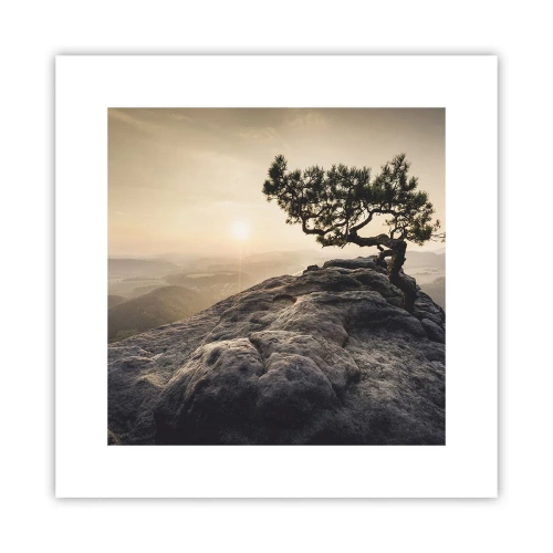 Poster - La vita vince sempre - 30x30 cm