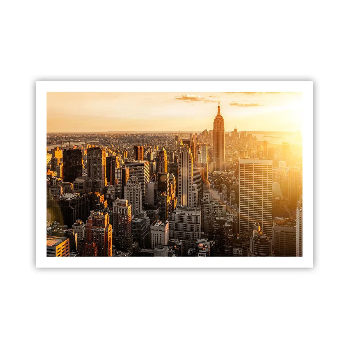 Poster - Crescere al sole - 91x61 cm