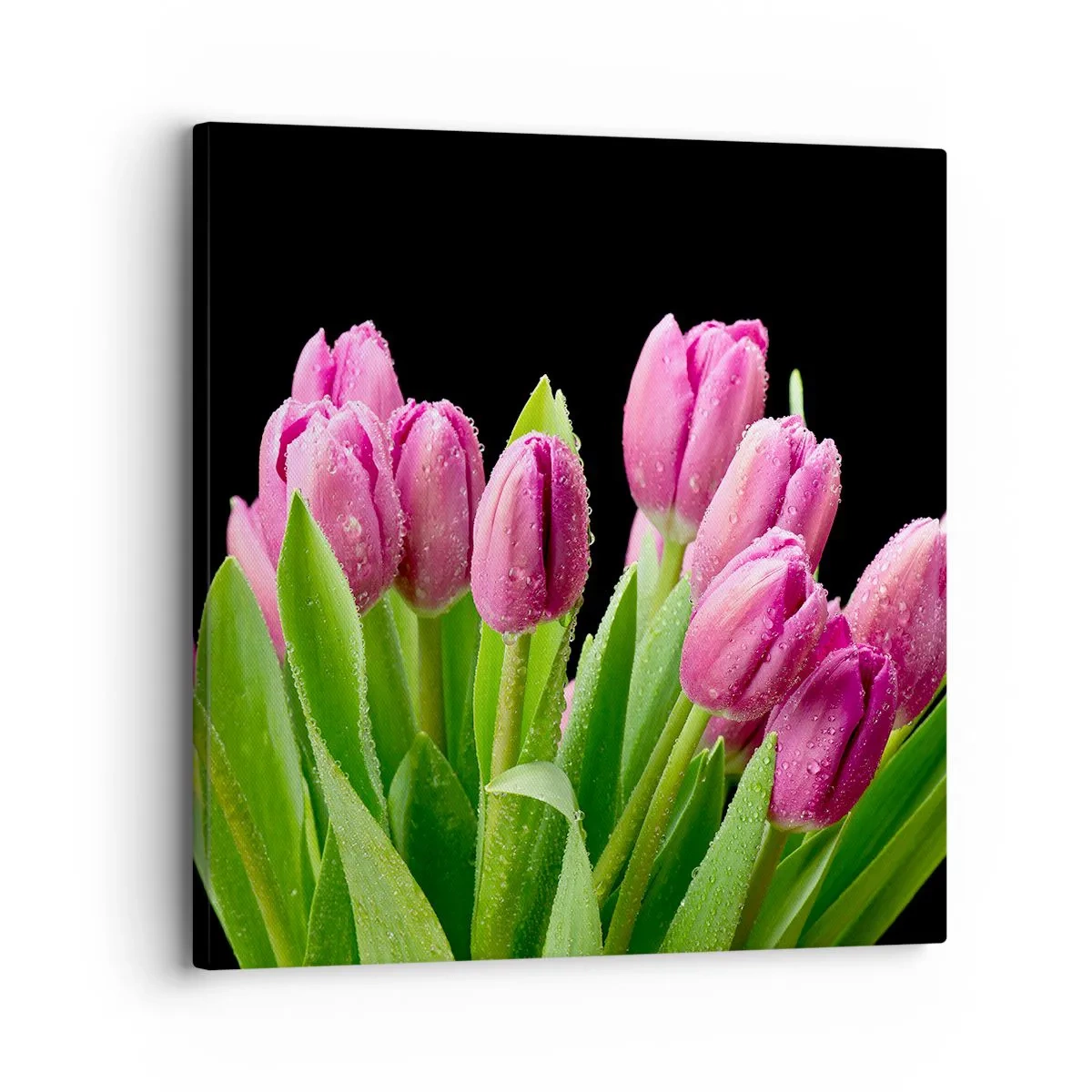 Quadro su tela - Stampe su Tela - Gioia lilla della primavera - 30x30 cm