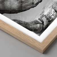 Rovere chiaro