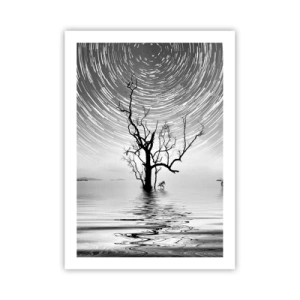 Poster - La stella volteggia sopra un albero solitario nell'acqua - 50x70cm - Sinfonia della natura - Decorazione murale moderna per soggiorno e camera da letto ARTTOR