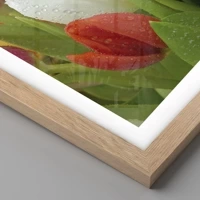 Rovere chiaro