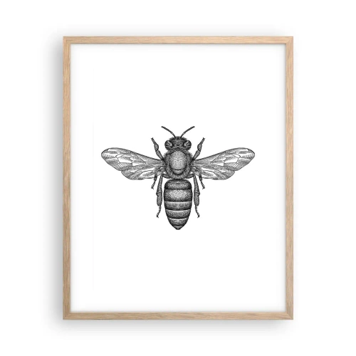 Poster in cornice rovere chiaro - Ritratto d'insetto - 40x50 cm