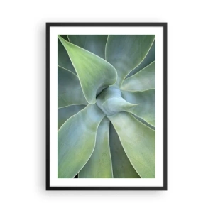 Poster in cornice nera - Primo piano di foglie succulente simmetriche - 50x70cm - La nascita del verde - Decorazione murale moderna per soggiorno e camera da letto ARTTOR