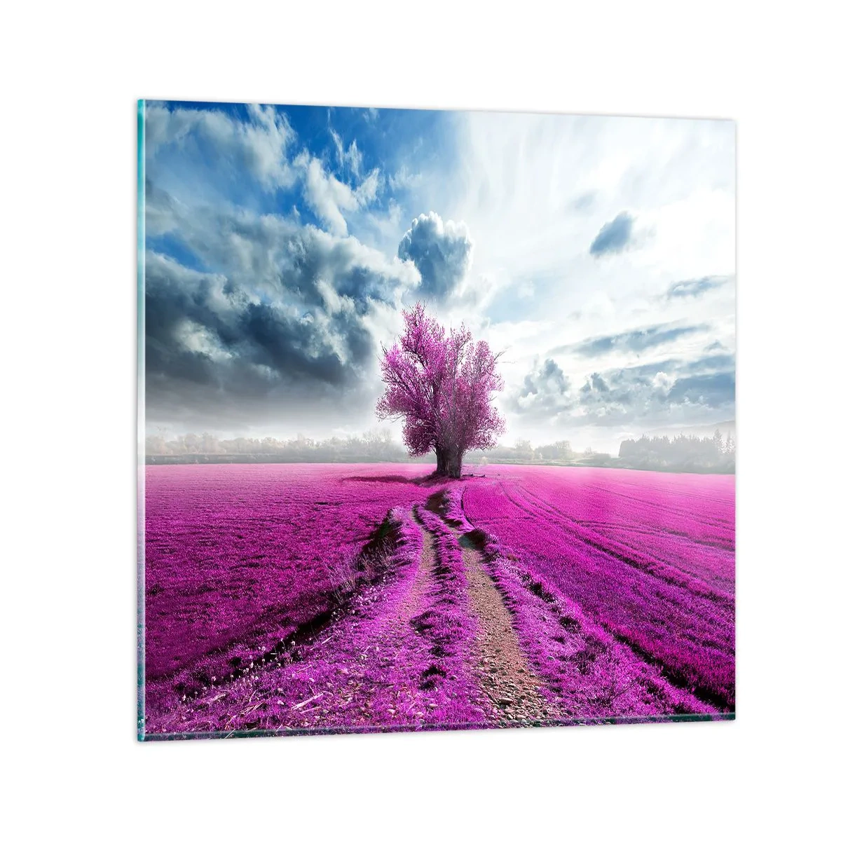 Quadro su vetro - Brughiera selvatica - 70x70 cm