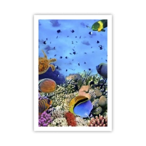 Poster - Ma cosa sappiamo della vita... - 61x91 cm