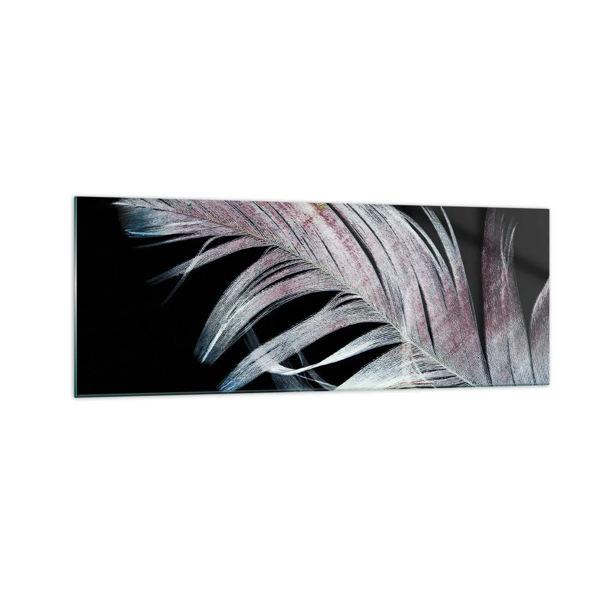 Quadro su vetro - Una piuma delicata su uno sfondo nero in un approccio artistico - 140x50cm - Pensa al tocco - Decorazione murale moderna per soggiorno e camera da letto ARTTOR