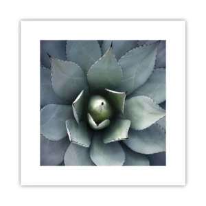 Poster - Adesca e minaccia - 30x30 cm