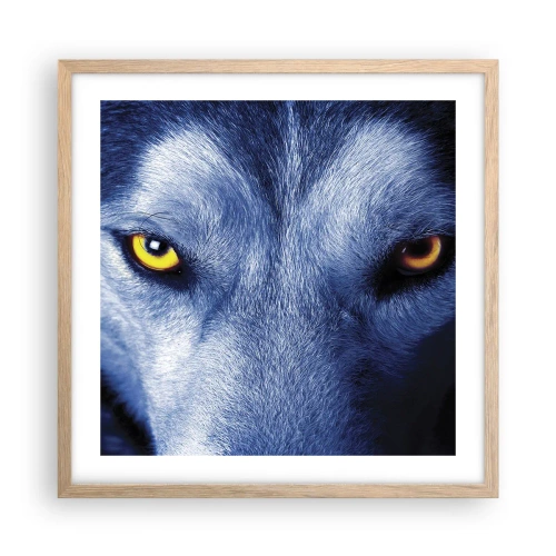 Poster in cornice rovere chiaro - Sguardo ipnotico - 50x50 cm