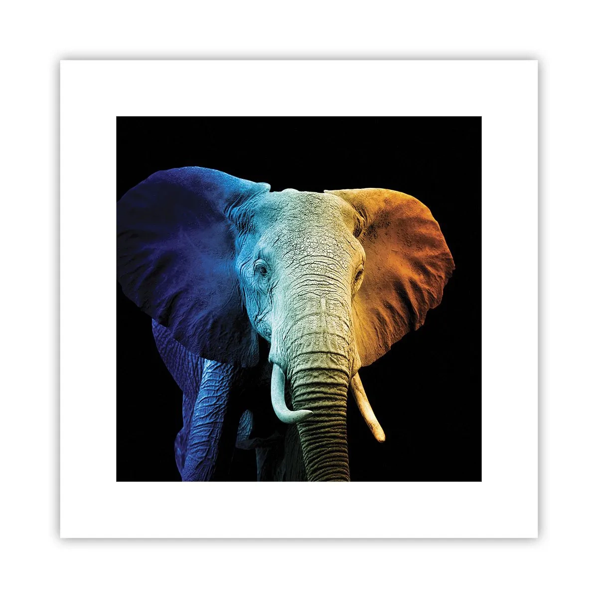 Poster - Eccentrico, non strano - 30x30 cm