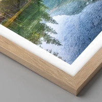 Rovere chiaro