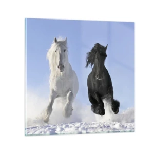 Quadro su vetro - Galoppo in bianco e nero - 50x50 cm