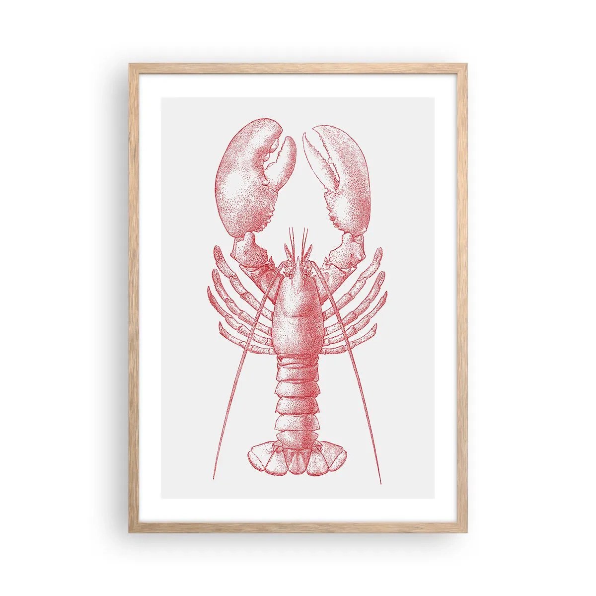 Poster in cornice rovere chiaro - Aragosta d'agosto - 50x70 cm