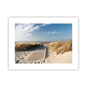 Poster - Dopo la duna, nel fruscio dell'erba - 40x30 cm