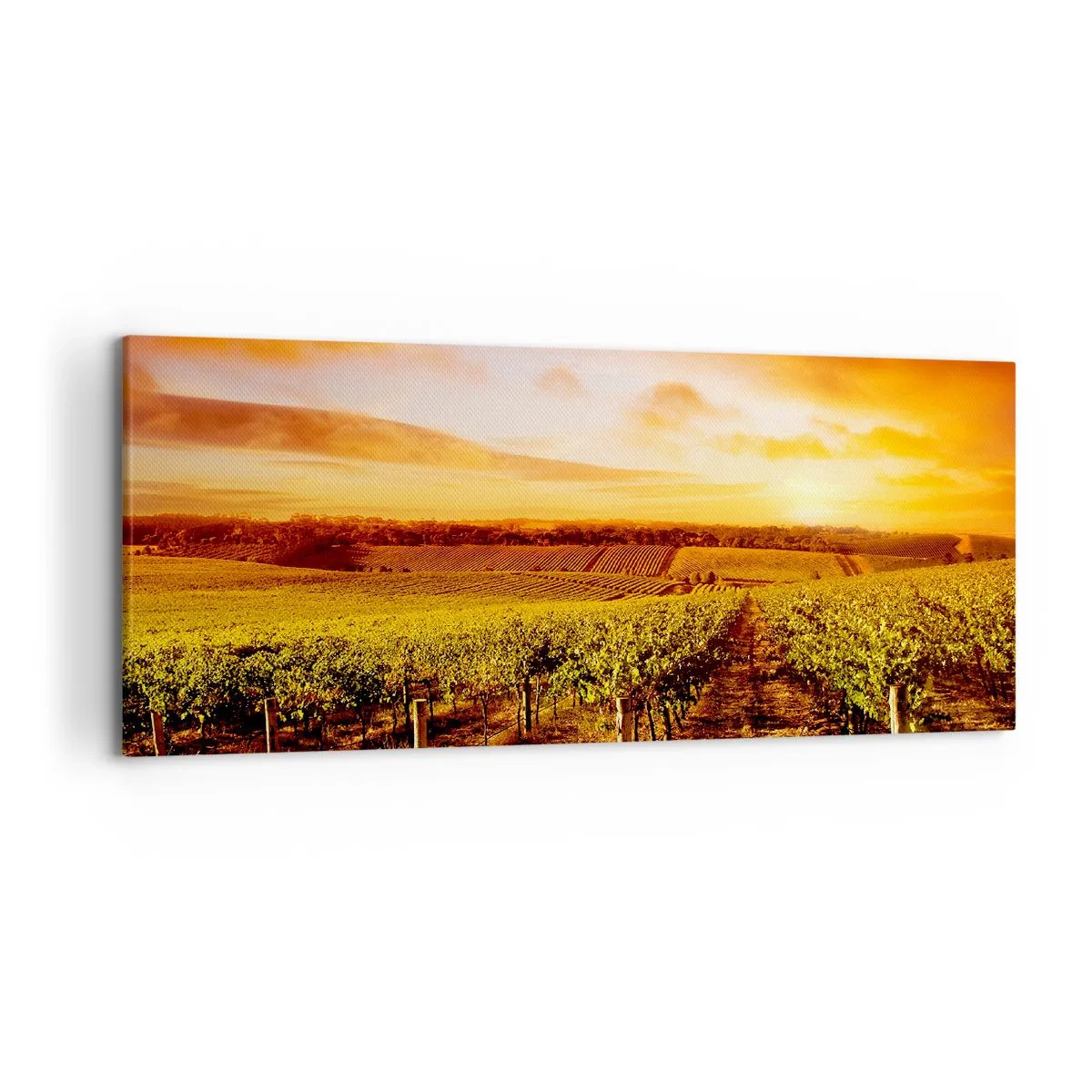 Quadro su tela - Stampe su Tela - Vigneto al tramonto con toni caldi del cielo - 120x50cm - Profumo di frutta con una nota di sole - Decorazione murale moderna per soggiorno e camera da letto ARTTOR