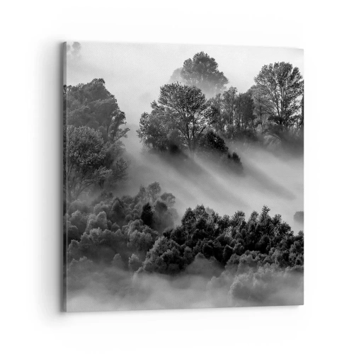 Quadro su tela - Stampe su Tela - Risveglio dal sonno - 70x70 cm