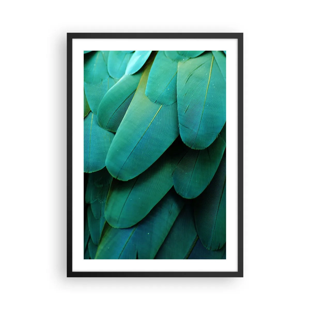Poster in cornice nera - Primo piano delle piume verdi di un uccello esotico - 50x70cm - Precisione da pappagallo - Decorazione murale moderna per soggiorno e camera da letto ARTTOR