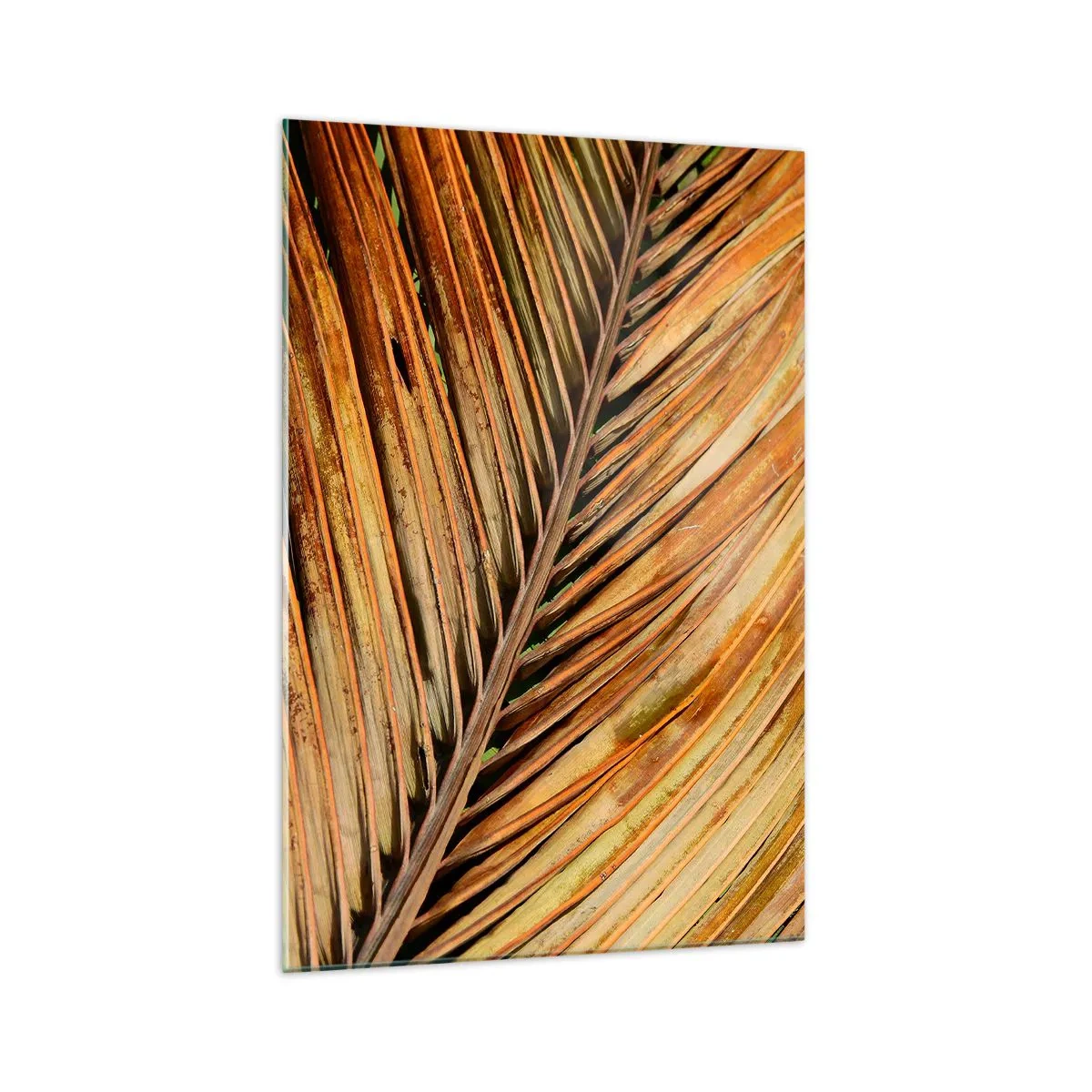 Quadro su vetro - Primo piano di una foglia di palma secca in toni caldi - 70x100cm - Oro di cocco - Decorazione murale moderna per soggiorno e camera da letto ARTTOR
